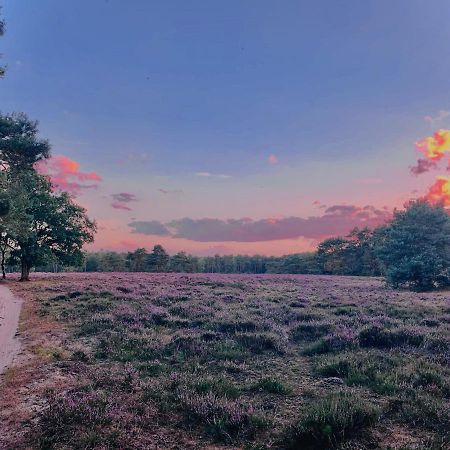 Sluwe Vos: Ontspannen In Het Bos! Otterlo Dış mekan fotoğraf