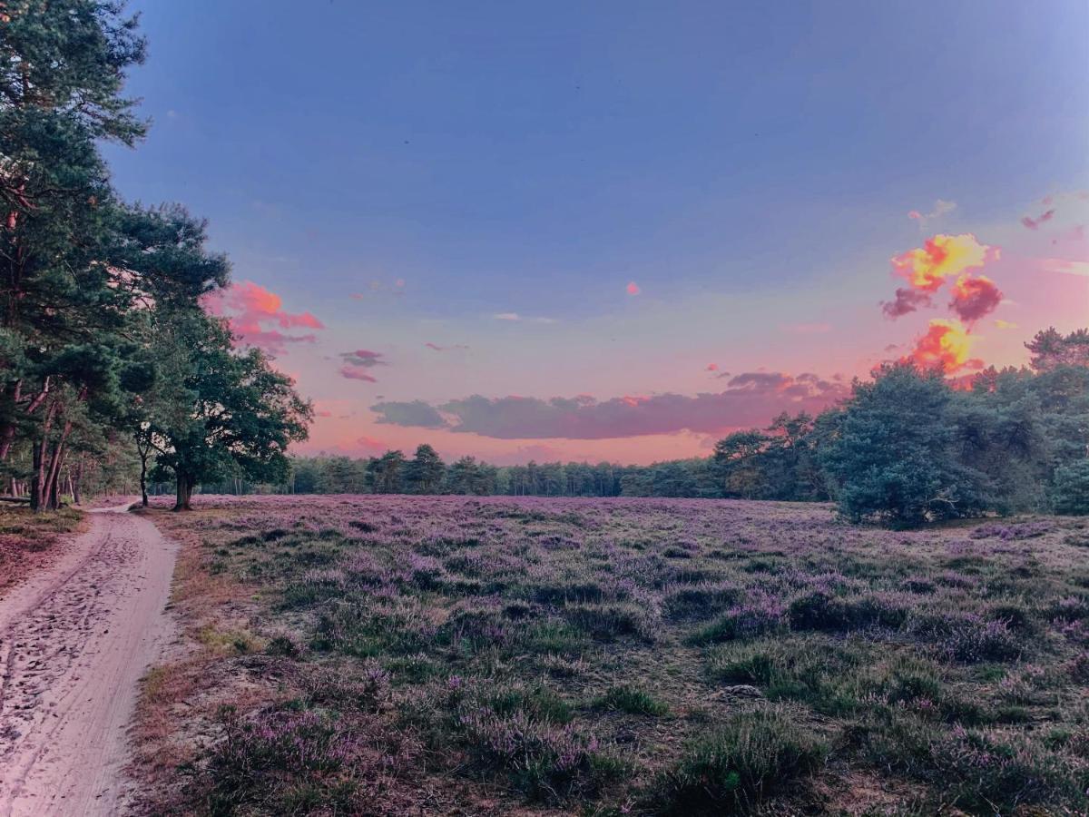 Sluwe Vos: Ontspannen In Het Bos! Otterlo Dış mekan fotoğraf