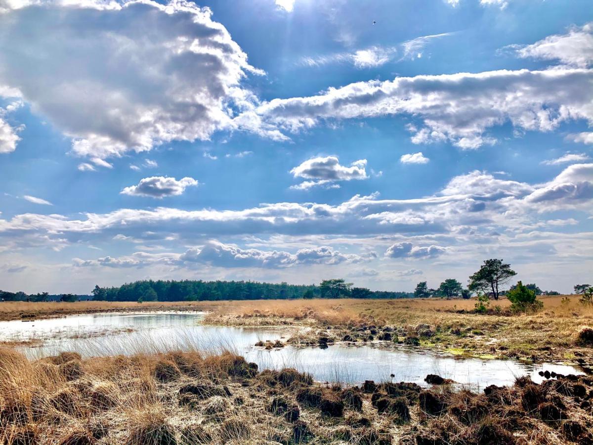 Sluwe Vos: Ontspannen In Het Bos! Otterlo Dış mekan fotoğraf